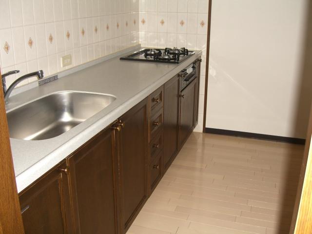 Kitchen. Indoor (12 May 2013) Shooting