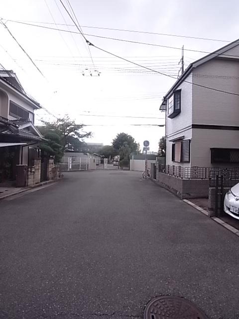 Other local