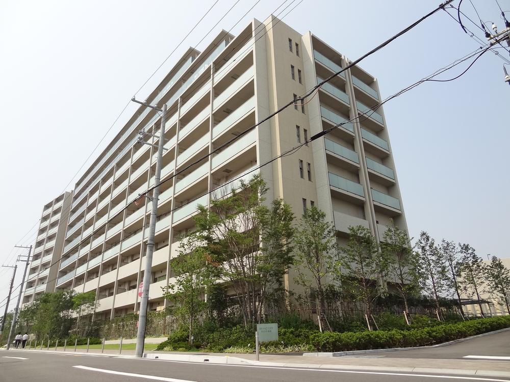 Local appearance photo. March 2013 architecture!