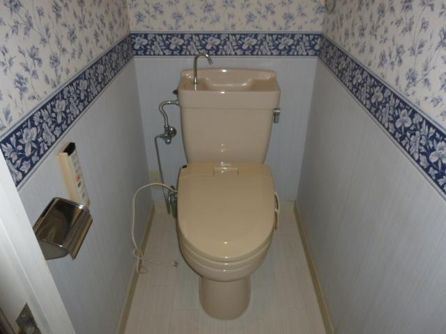 Toilet. First floor toilet