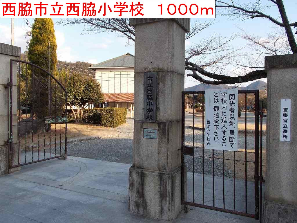 Primary school. Nishiwaki Municipal Nishiwaki elementary school (elementary school) 1000m to