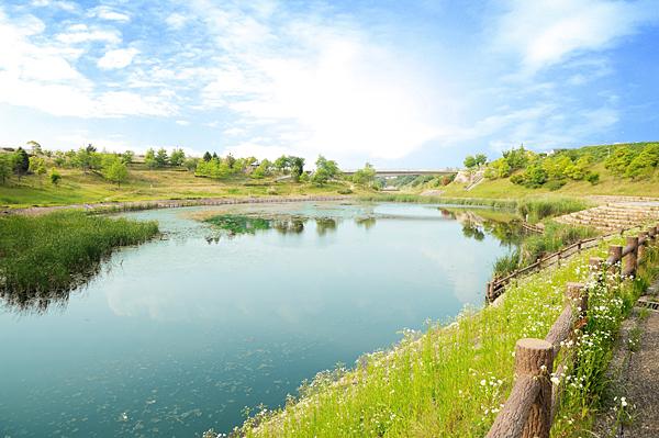 park. Walk in the 400m a little family to Pinggu River green space. Pinggu River to become of such atmosphere. 