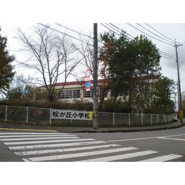 Primary school. Matsugaoka elementary school