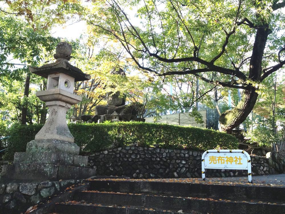 Other. 2-minute walk from the power spot Mefu Jinja in Hyogo Prefecture Your foundation of Suiko to about 1380 years ago.  Is amazing seems especially main shrine right of Toyotama shrine of power! ! 