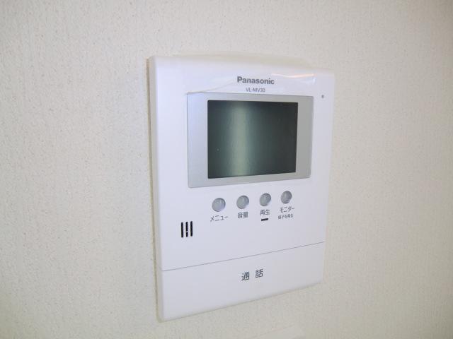 Security equipment. Local photos (color monitor intercom)