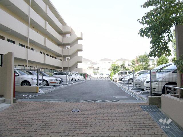 Parking lot. Common areas