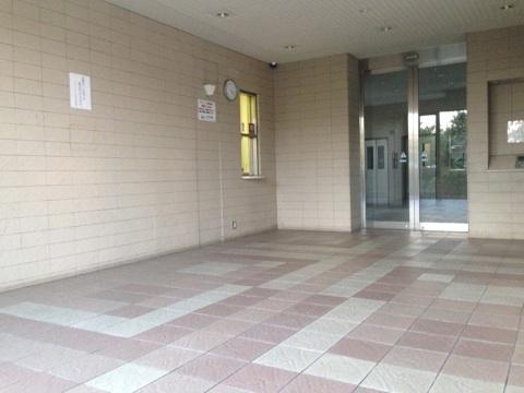 Entrance. Common areas