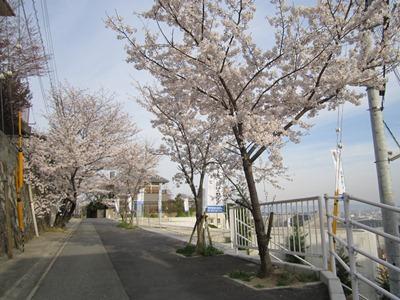 Local photos, including front road. View good (April 2013 shooting) Takarazuka ・ Low-rise exclusive residential area of ​​Yamate