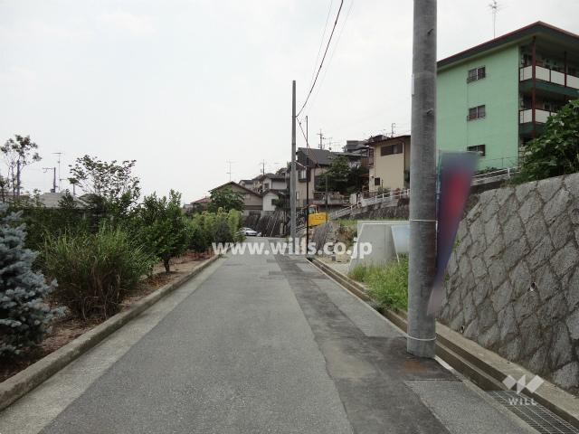 Local photos, including front road. Property of the east front of the road (from the north)