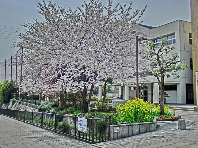 Junior high school. Takarazuka Municipal Yamatedai until junior high school 1866m