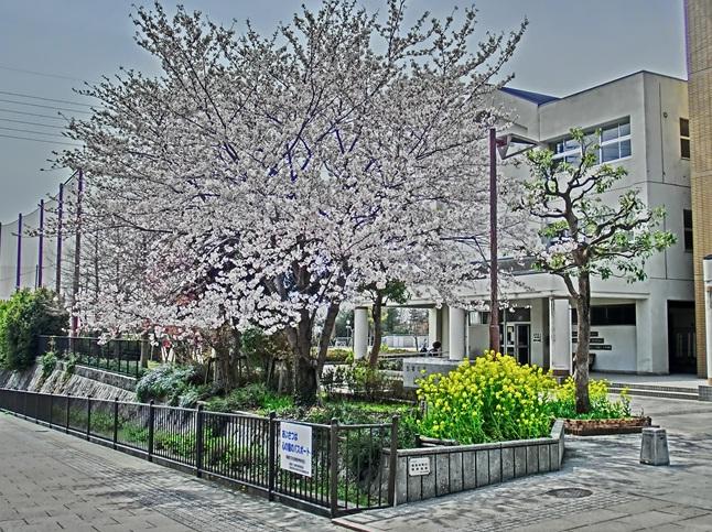 Junior high school. Takarazuka Municipal Yamatedai ​​until junior high school 1866m