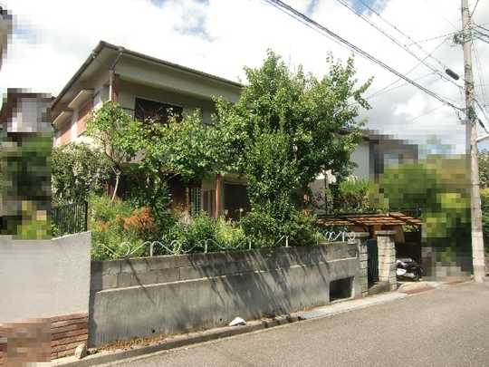 Local land photo. The Property Taken from the southwest side