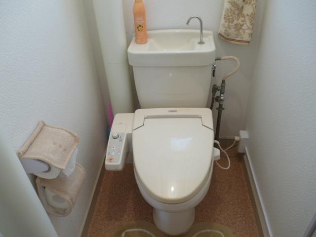 Toilet. Toilet (with washlet)