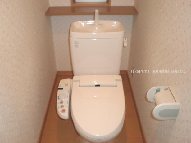 Toilet. High-function toilet