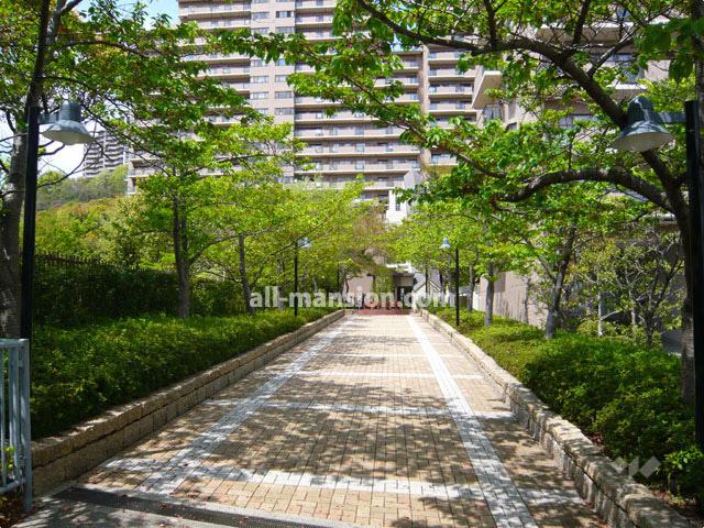 Other. Approach toward the skew elevator (it is in a beautiful cherry trees)