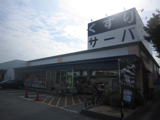 Dorakkusutoa. Drugstore server Itami Aramaki shop 324m until (drugstore)