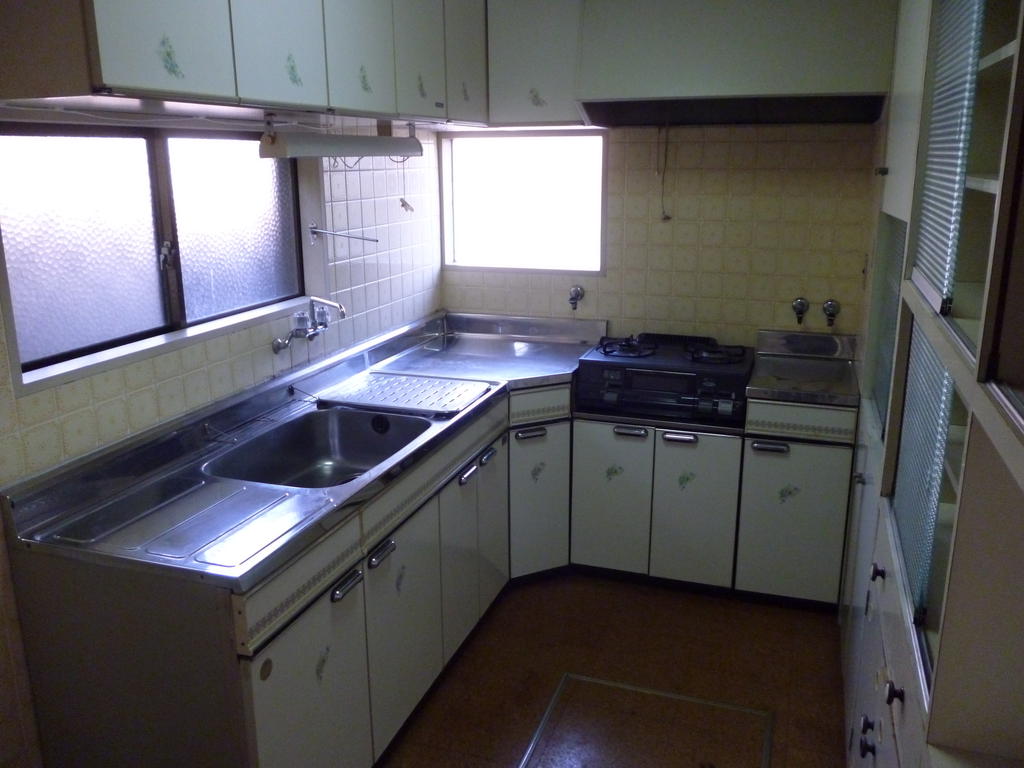 Kitchen. L-shaped kitchen