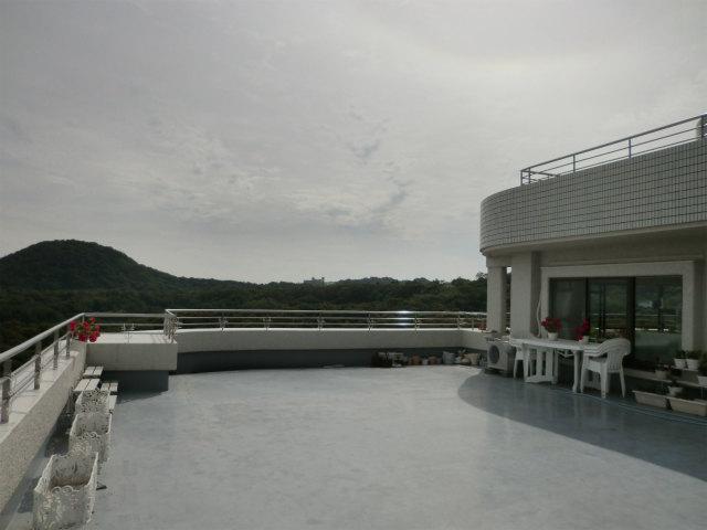 Balcony. Roof terrace