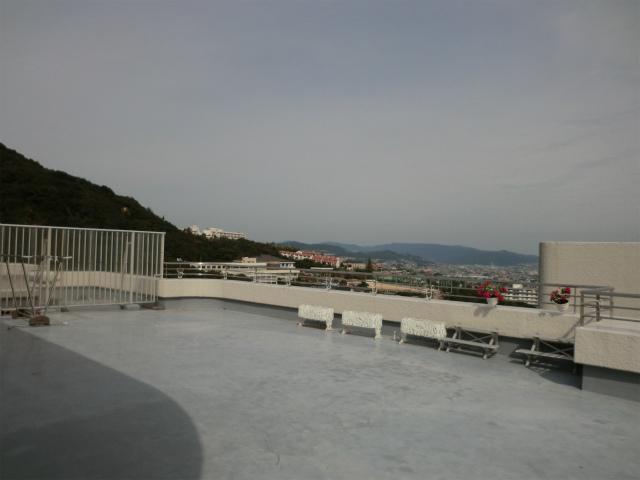 Balcony. Roof terrace