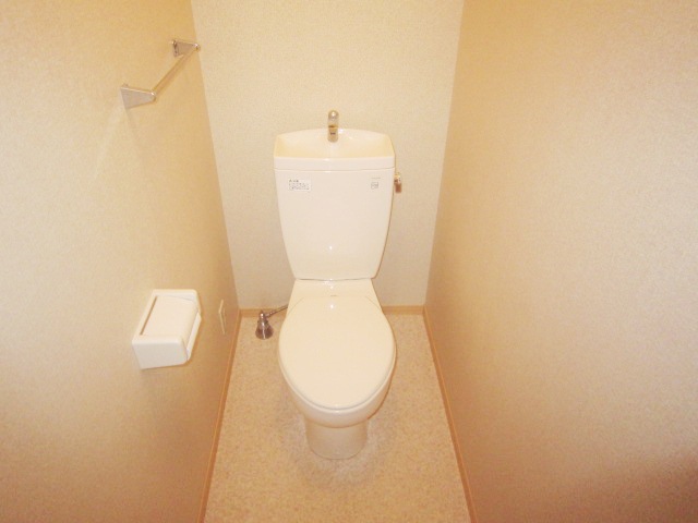 Toilet. It is a beautiful toilet with cleanliness