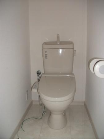 Toilet. Shoot the first floor toilet