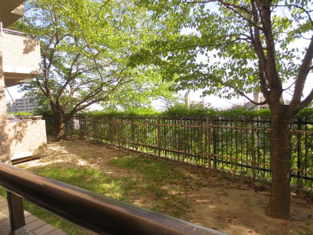 View photos from the dwelling unit. Southeast direction, Cherry trees have been planted in front of the balcony.