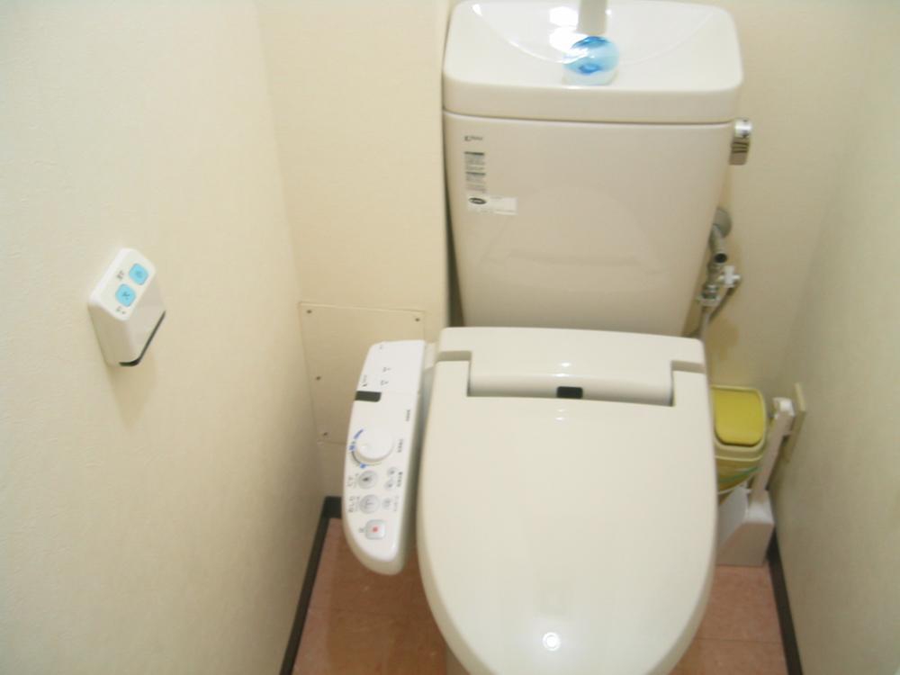 Toilet. With cleaning function