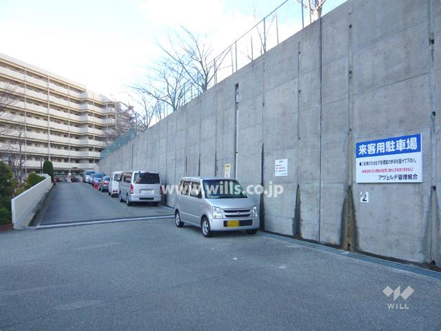 Parking lot. Parking for visitors