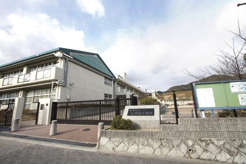 Primary school. 730m have been surrounded by nature to Takarazuka Municipal Yamatedai ​​Elementary School, Good air is a clean environment, Popular elementary school. 