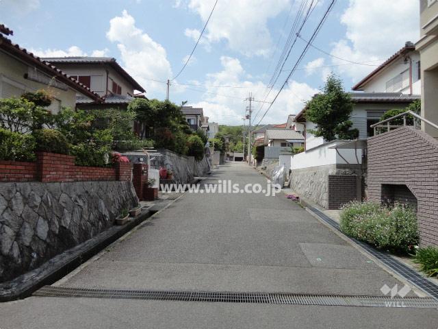 Local photos, including front road. Frontal road