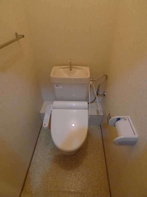 Toilet. It is a handy bidet type.
