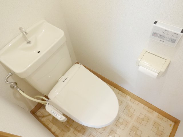 Toilet. Bidet