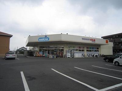 Drug store. Drag Terashima until Mito Hirasu shop 2432m