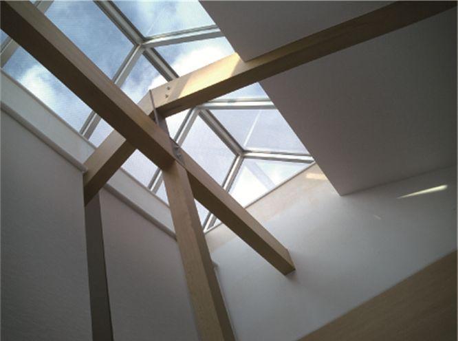 Other introspection. Atrium