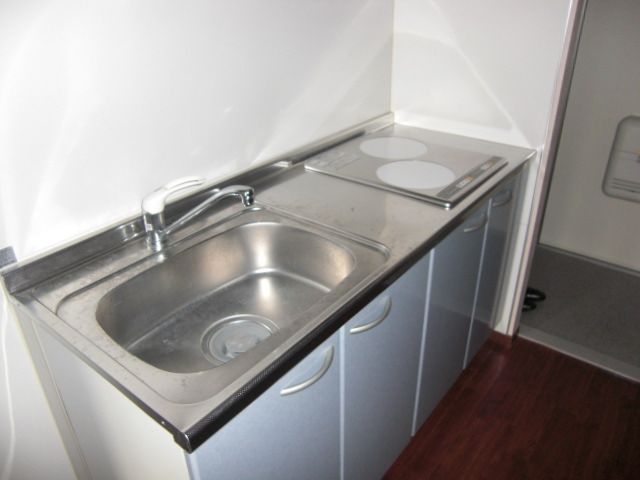 Kitchen. IH heater, Two-burner stove