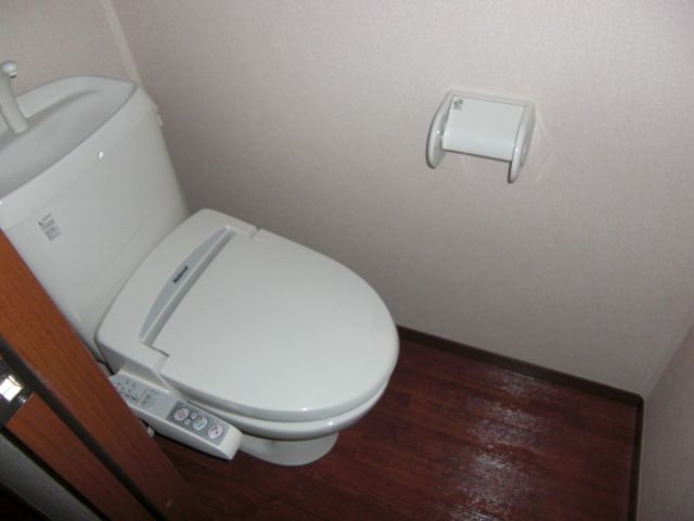 Toilet. Bathroom with a shower