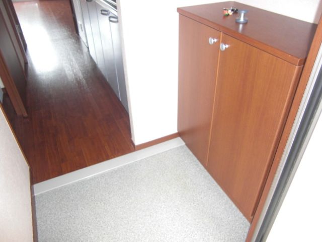 Entrance. Entrance with cupboard