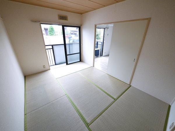 Other room space. Japanese style room