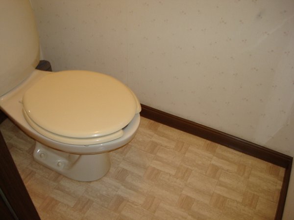 Other. Toilet