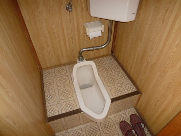 Toilet. Japanese-style toilet