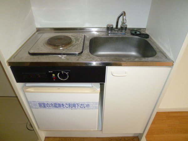 Kitchen. Convenient electric stove