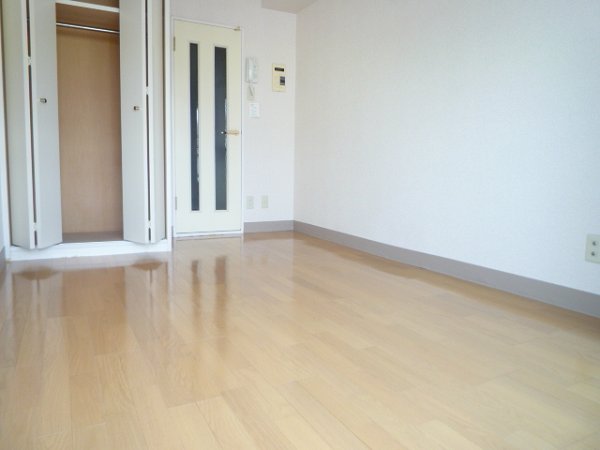 Other room space. Flooring