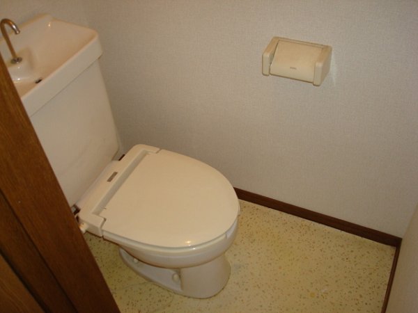 Toilet. Heating toilet seat