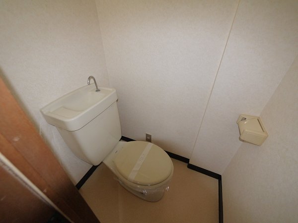 Other. Toilet