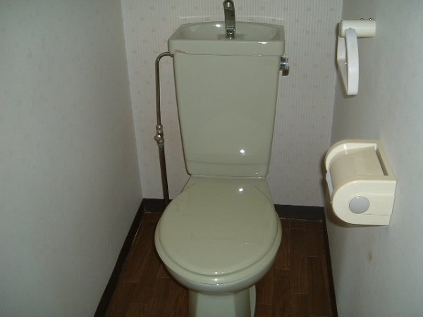 Toilet. Toilet