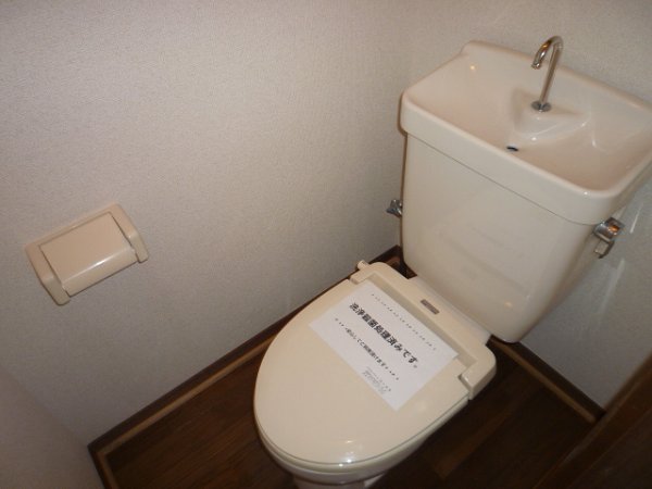 Other. Toilet