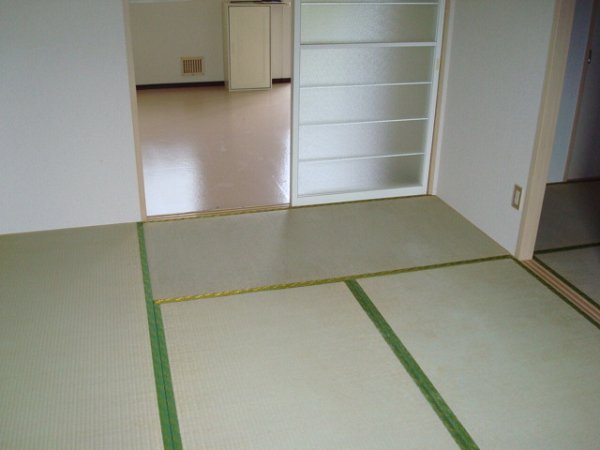 Other. Japanese style room