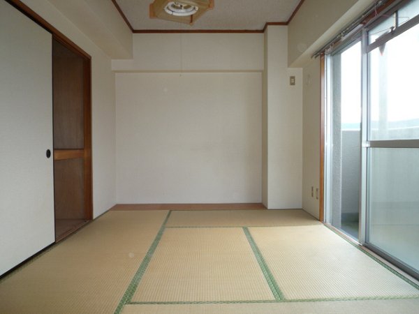 Other room space. Japanese style room