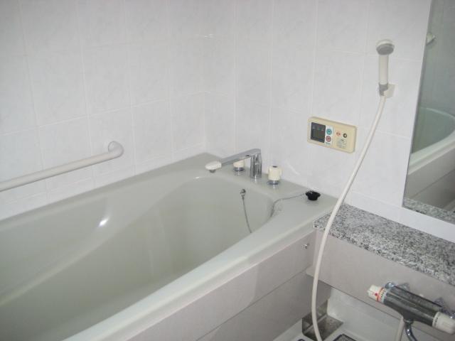 Bathroom. Bathroom will be cleaning clean!