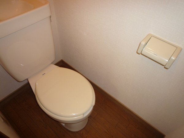 Toilet. Toilet